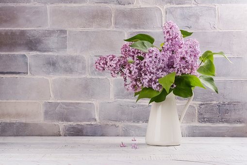Vase with beautiful blossoming lilac on white background. Copy space