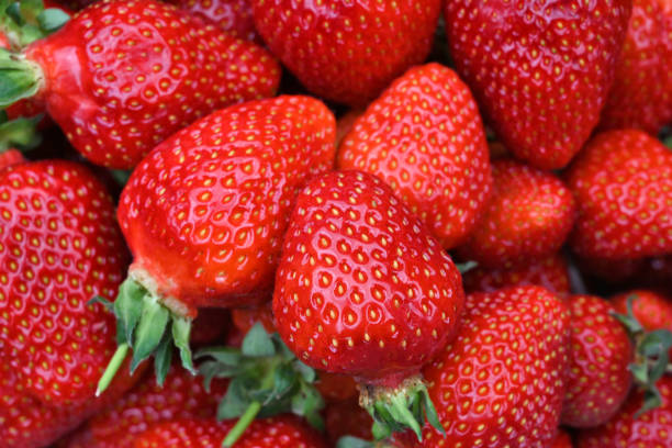 high angle full frame shot of fresh red strawberries - morango imagens e fotografias de stock