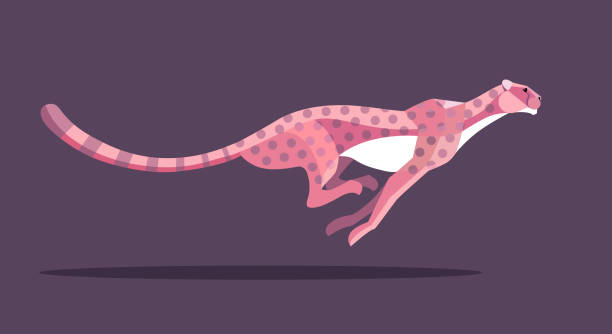 Pink Cheetah Stock Illustration - Download Image Now - Cheetah, Running,  Drawing - Art Product - iStock