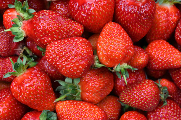 istock High angle full frame shot of fresh red strawberries 1249766533