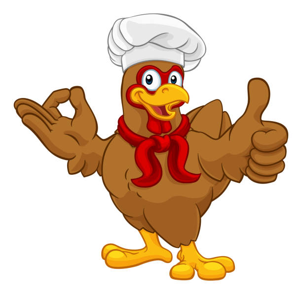 치킨 요리사 수탉 코커렐 엄지 손가락 올라 완벽한 - chef chicken turkey cooked stock illustrations