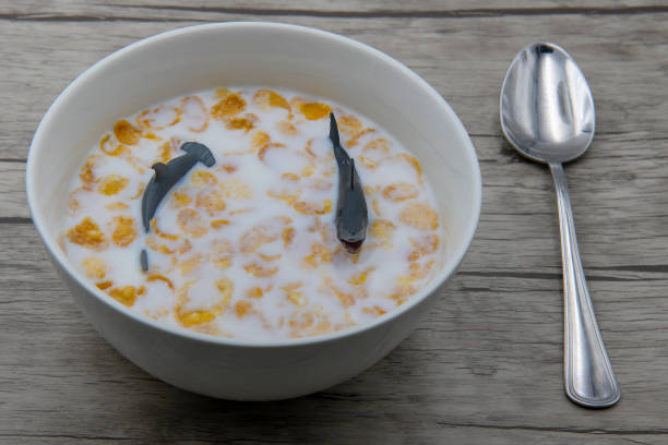 Corn flakes in a bowl with fresh milk for eating in the morning,breakfast or meal
