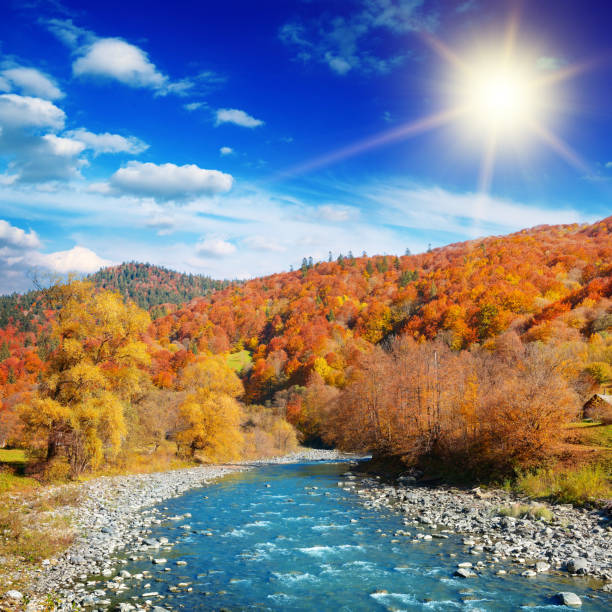 istock Bright autumn landscape of mountain river 1249771654