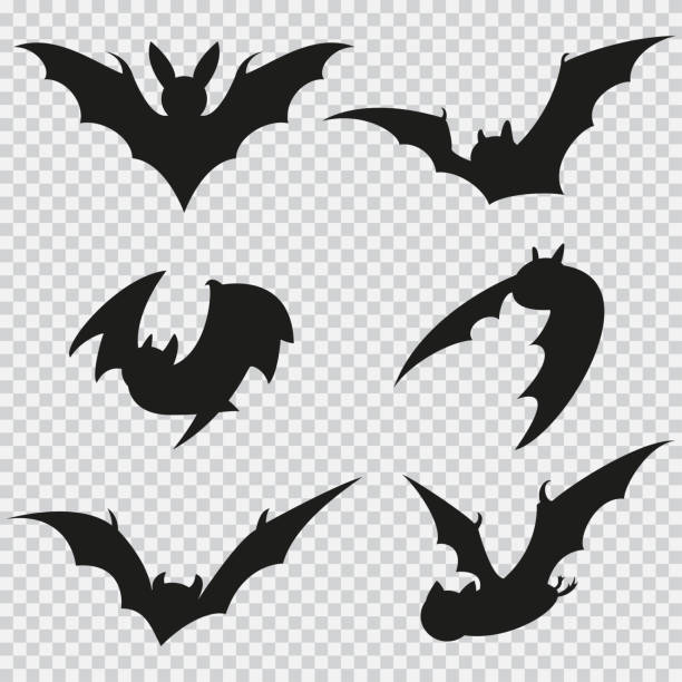 ilustraciones, imágenes clip art, dibujos animados e iconos de stock de bat silueta negra de diferentes formas en vuelo. iconos planos vectoriales aislados sobre un fondo transparente. - bat halloween silhouette wing