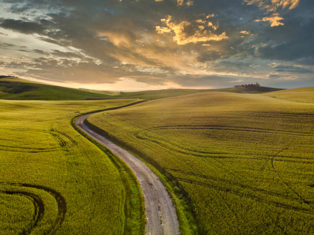 istock Impressive spring landscape,view with cypresses and vineyards ,Tuscany,Italy 1249773701