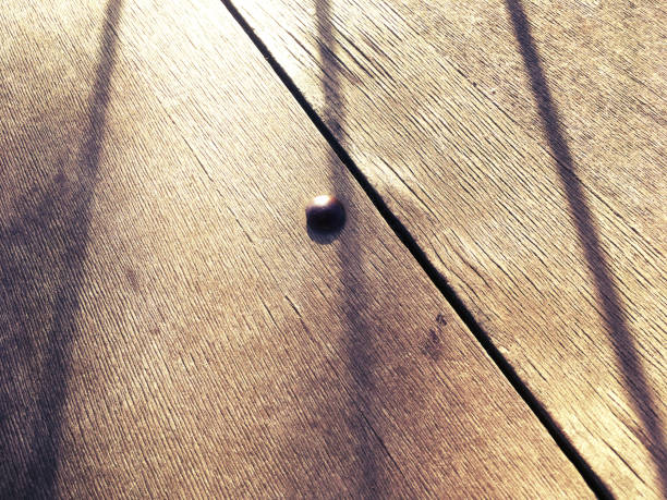 istock Wood texture close up on the sunset photo 1249781085