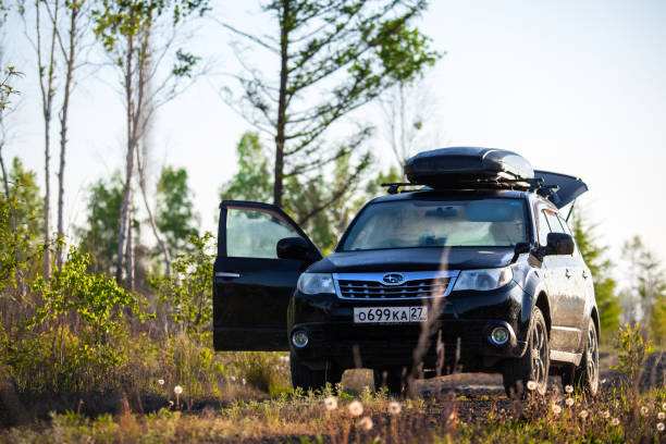 subaru forester mit dachkasten auf feldweg im wald - recreate stock-fotos und bilder