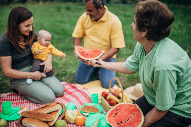 istock Family picnic on the grass 1249781470