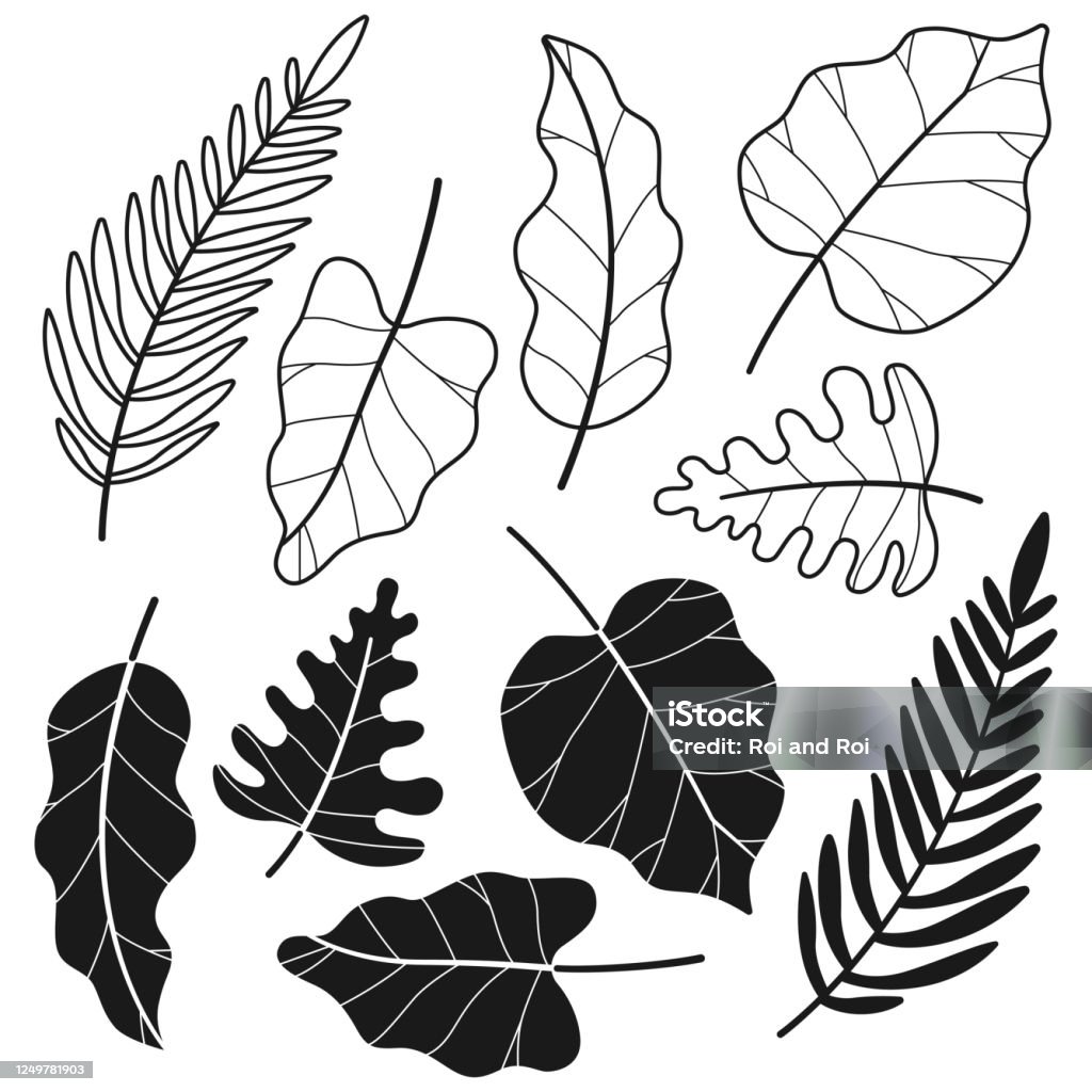 Tropical Jungle Leaf Vector Cartoon Black Silhouettes Set Isolated On A  White Background Stock Illustration - Download Image Now - iStock