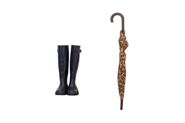 istock rubber boots and umbrella isolated on white background 1249783017