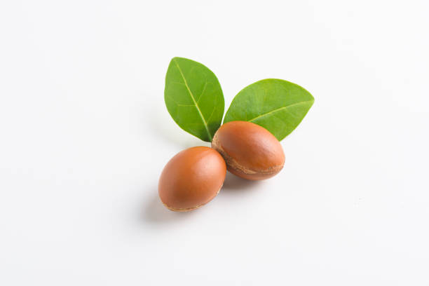 istock Argan seeds with fresh leave on a white background 1249783036
