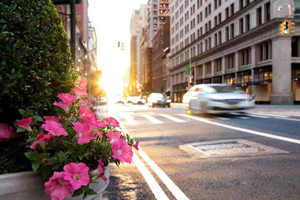 nowojorska scena uliczna z samochodami jadącymi kolorowymi kwiatami wzdłuż 23 st. w midtown manhattan - manhattan new york city urban scene midtown manhattan zdjęcia i obrazy z banku zdjęć