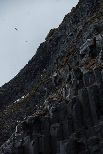 istock Portrait image of Black Sand Beach Cliffs in Iceland 1249787571