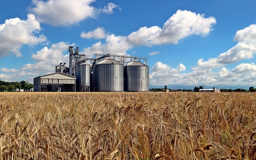 Grain storage silos system, behind a brown wheat field and under a summer blue cloudy sky