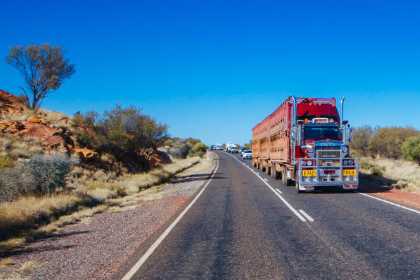 Australian Road Train in Northern Territory An iconic 3 trailer Australian road train travels along the Plenty Hwy near Alice Springs in Northern Territory, Australia alice springs photos stock pictures, royalty-free photos & images