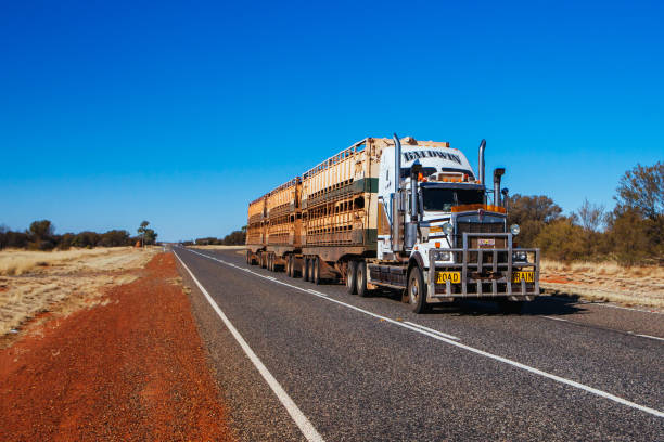 Large semi truck hauling freight on the open highway in the western USA under a morning sky.