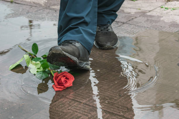 ein mann tritt auf eine rose, die aus protest gegen liebesbeziehungen in eine schmutzige pfütze geworfen wird - crushed single flower flower rose stock-fotos und bilder