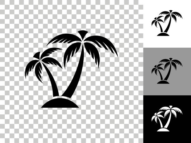 Tropical Palm Tree Icon on Checkerboard Transparent Background Tropical Palm Tree Icon on Checkerboard Transparent Background. This 100% royalty free vector illustration is featuring the icon on a checkerboard pattern transparent background. There are 3 additional color variations on the right.. palm icon stock illustrations
