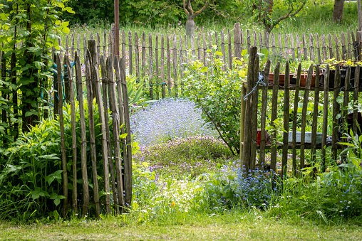 garden, gate