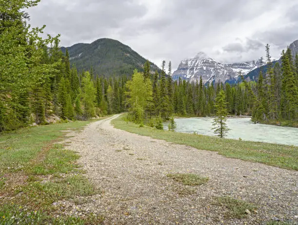 Dirt road and the Kicking Horse River with Mount Stephen in Yoho National Park, British Columbia, Canada