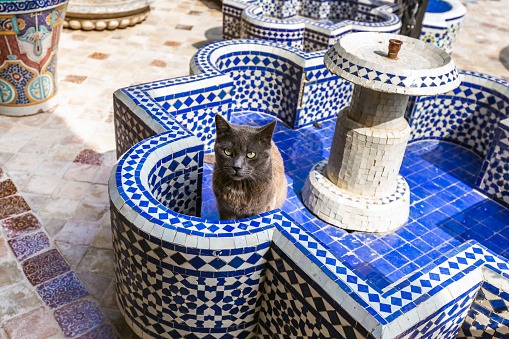 The photo was taken out of a front view and is showing a beautiful arrangement of coloured wall tiles.The photo was taken in the Alhambra in Spain.