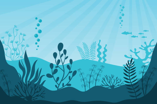 Marine life. Beautiful marine ecosystem Marine life. Beautiful marine ecosystem and wildlife on bottom in blue ocean. Underwater sea fauna with coral reef, seaweed, plants and fishes silhouettes. Undersea world vector illustration. aquarium stock illustrations