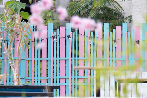 Detail of a backyard with pink and blue wooden fence with light bulbs and foliage