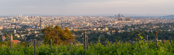 istock Panoramic view of Vienna, Austria with a view over the vineyards 1249804411
