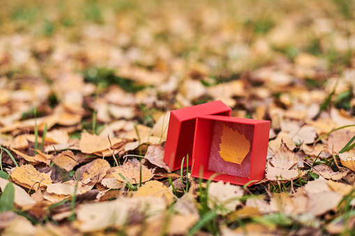 Gift box with autumn leaf. End of season concept, copy space. Weather forecast change symbol