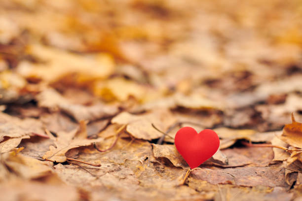 istock Infatuation or unrequited romantic love concept. 1249805128