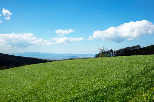 mountain landscape with grassy meadow. view in to the distant rural valley. sunny summer morning