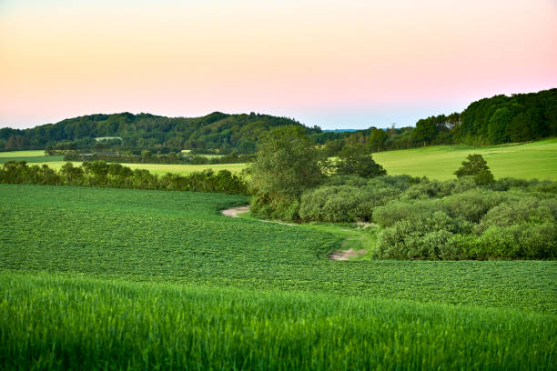 istock Landscape with rolling hills on Funen 1249808777