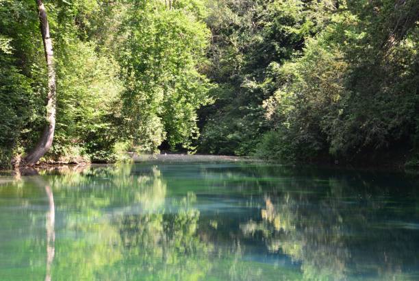 istock Pond in Surrey in the UK. 1249811194
