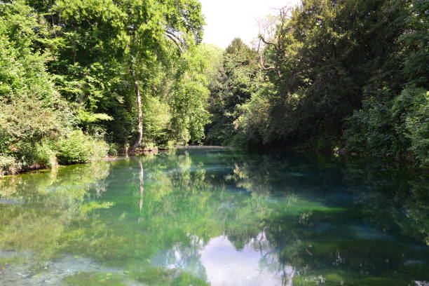 istock Pond in Surrey in the UK. 1249811635
