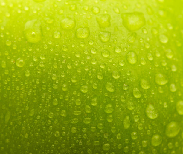 istock ripe and juicy apples 1249812527