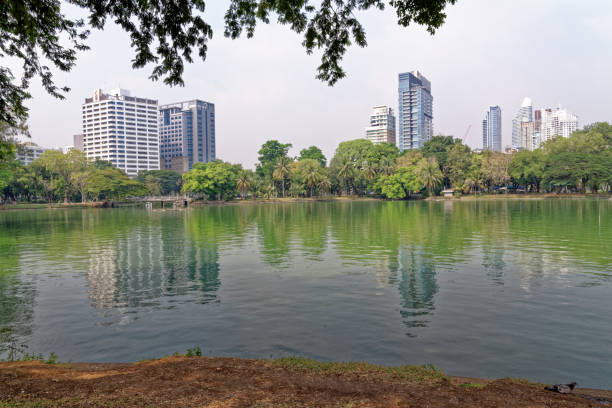 istock Lumphini Park  - Bangkok, Thailand 1249814556