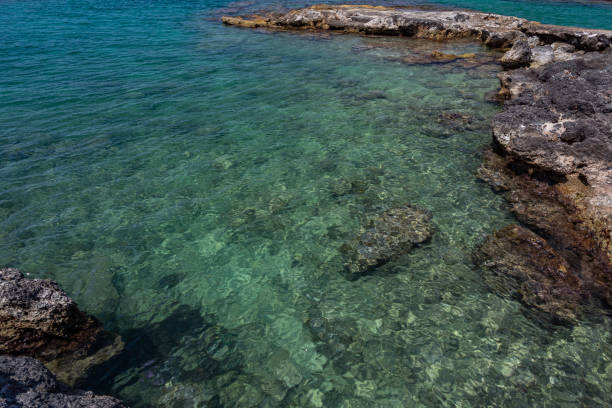 istock Adriatic sea. Ostuni, Apulia 1249815918