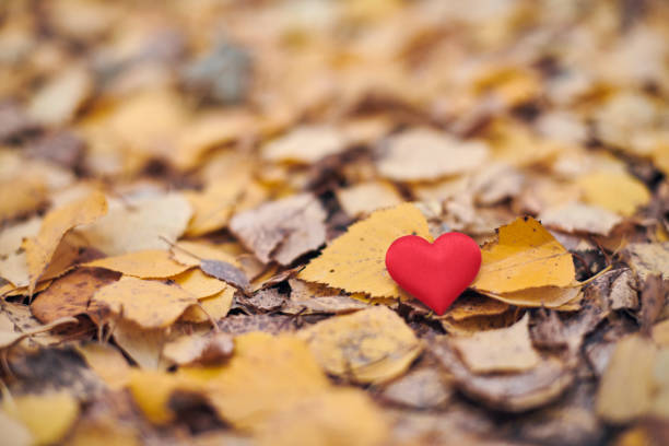 istock Unrequited, one-sided love or loneliness concept. 1249820731