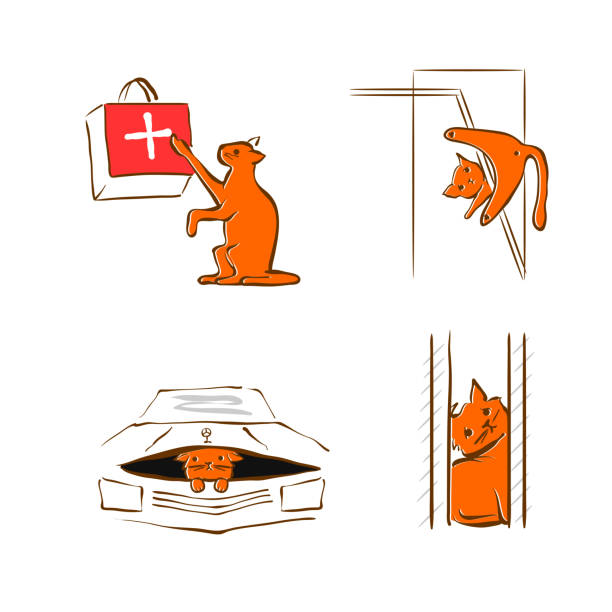 illustrazioni stock, clip art, cartoni animati e icone di tendenza di design dell'illustrazione vettoriale per il servizio di salvataggio degli animali domestici - domestic cat undomesticated cat window house