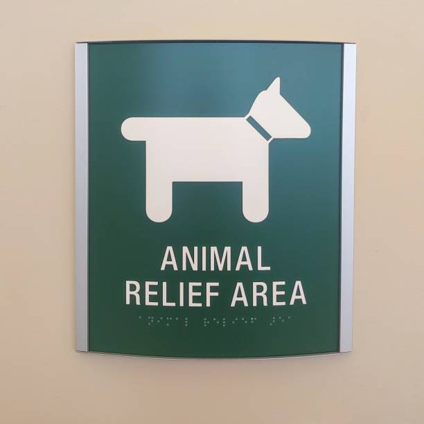 istock Airport Animal Area 1249824023