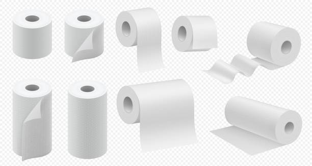 Toilet paper roll. Vector kitchen paper towel Toilet paper roll. Vector toilet tape and kitchen paper towel template. Realistic hygiene tissue package mockup. Paper napkins tube vector illustration tissue box pattern stock illustrations