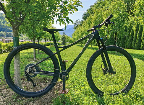 Cross country mountain bike at green trees and mountains background