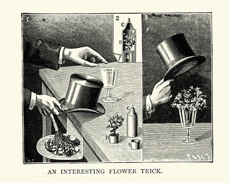 Vintage illustration of Victorian magic trick, Flowers, top hat, wine glass, 19th Century
