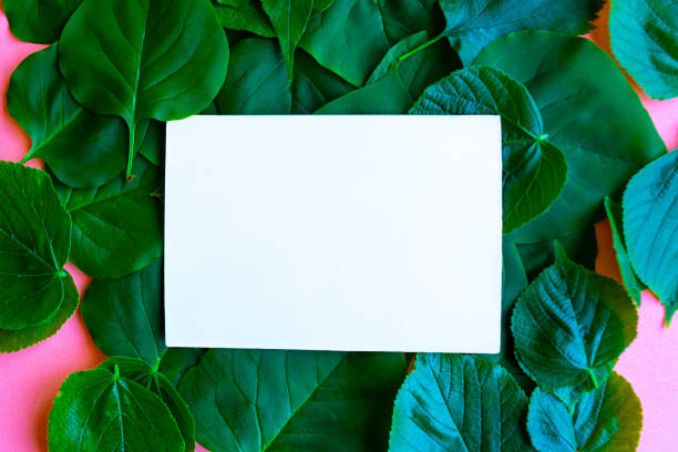 istock White mockup blank on green foliage leafs. Ecology concept 1249831247