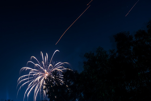 White and yellow fireworks at night sky with visible trees