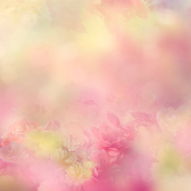 istock Abstract Begonia Flowers for Background 1249833638