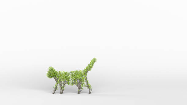 istock Growing Tree in a shape of a cat. Eco Concept. 1249833725