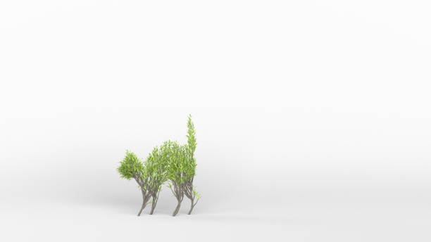 istock Growing Tree in a shape of a cat. Eco Concept. 1249833968