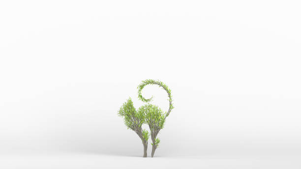 istock Growing Tree in a shape of a cat. Eco Concept. 1249834791