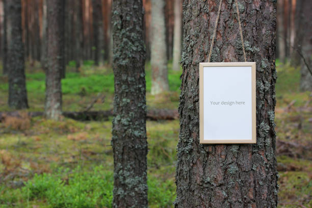 istock mock up, scene maker of a wooden frame. 1249840858